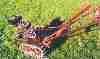 Unknown02small.jpg (3570 octets)